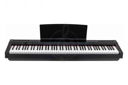Цифровое пианино ARAMIUS APH-120 BK - Цифровое пианино - фото 4
