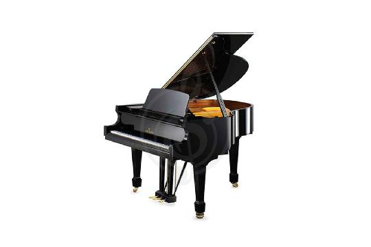 Изображение Акустический рояль Bechstein B 160 BLP CHR