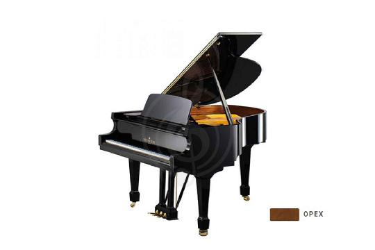 Изображение Акустический рояль Bechstein B 160 WAP