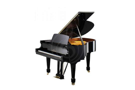 Изображение Акустический рояль Bechstein B 175 BLP