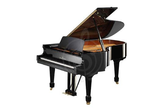 Изображение Акустический рояль Bechstein B 208 BLP