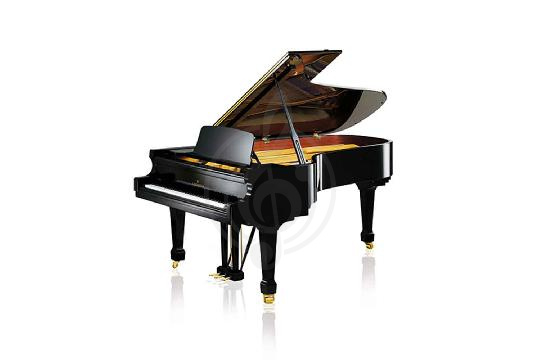 Изображение Акустический рояль Bechstein B 228 BLP