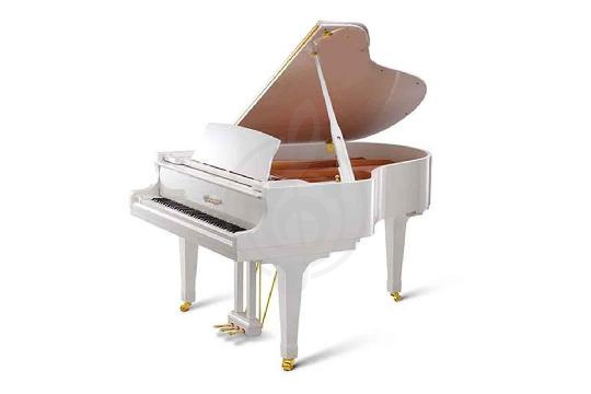 Изображение Акустический рояль Bechstein B 228 WHP