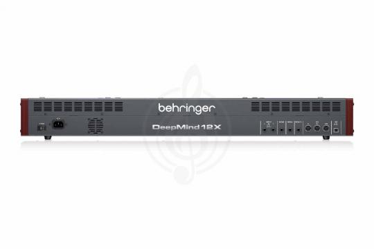 Аналоговый синтезатор BEHRINGER DEEPMIND 12X - Синтезатор - фото 2