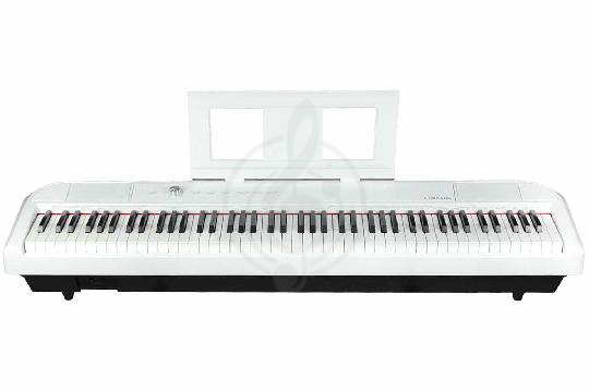 Изображение BEISITE S-198 Pro Lite WH