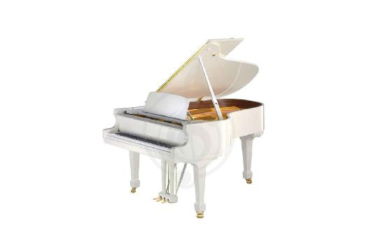 Изображение Акустический рояль Bechstein A 160 WHP