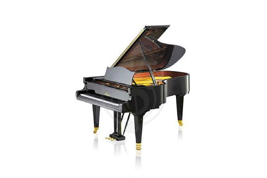 Изображение Акустический рояль Bechstein B 212 BLP