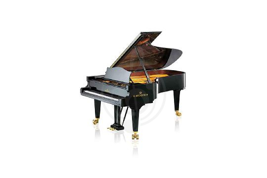 Изображение Акустический рояль Bechstein C 234 BLP