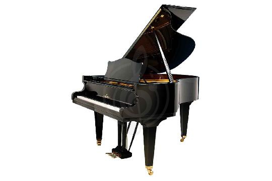 Изображение Акустический рояль Bechstein L 167 BLP