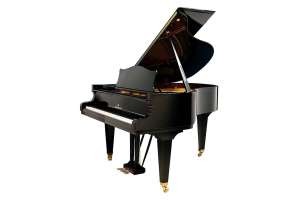 Изображение Акустический рояль Bechstein L 167 BLP VARIO