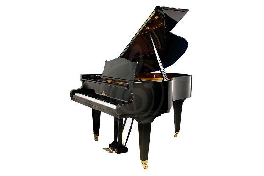 Изображение Акустический рояль Bechstein L 167 BLP VARIO