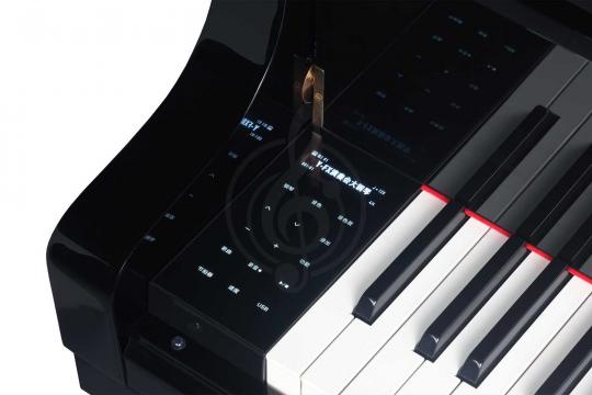 Цифровой рояль Medeli GP805 - Цифровой рояль - фото 10