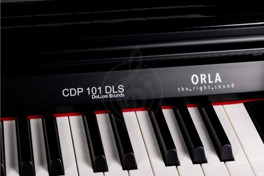 Цифровое пианино Orla CDP-101-POLISHED-BLACK - Цифровое пианино - фото 6