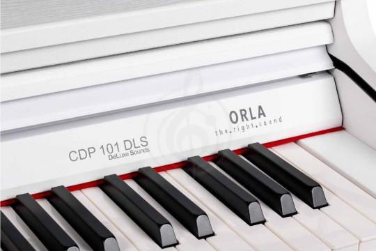 Цифровое пианино Orla CDP-101-SATIN-WHITE - Цифровое пианино - фото 6