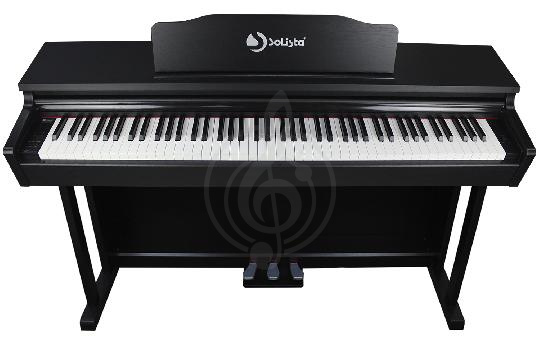 Изображение Solista DP200BK