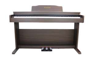 Изображение Цифровое пианино Solista DP200BR