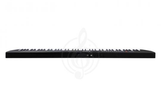 Синтезатор TERRIS TK-440 BK - Синтезатор - фото 2