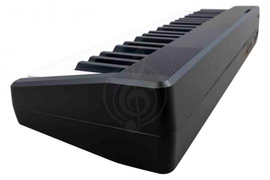Синтезатор TERRIS TK-440 BK - Синтезатор - фото 4
