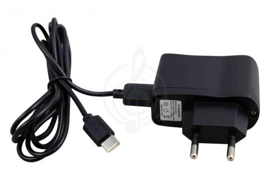 Синтезатор TERRIS TK-440 PACK - Синтезатор - фото 30