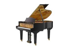Изображение Wendl&Lung VG180BK - Рояль акустический