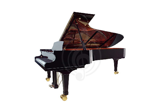 Акустический рояль Wendl&Lung VG278BK - Рояль акустический, черный - фото 1