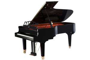 Изображение Wendl&Lung W218BK