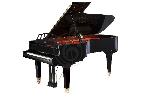 Акустический рояль Wendl&Lung W218BK - Рояль акустический, черный - фото 1