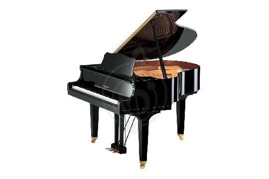 Изображение Акустический рояль Yamaha GB1KPE//LZ.WITHBENCH