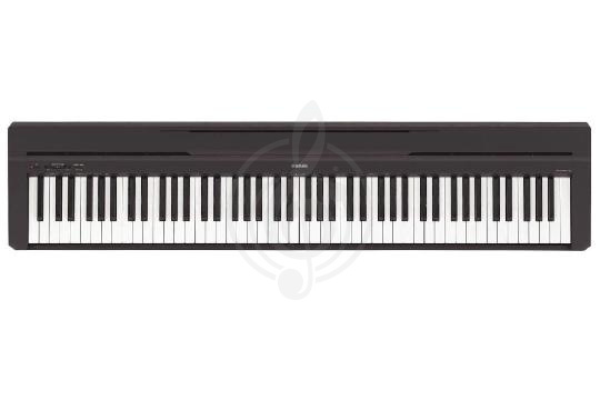 Изображение Цифровое пианино Yamaha P-48B