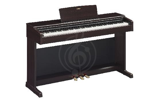 Изображение Цифровое пианино Yamaha YDP-144 R