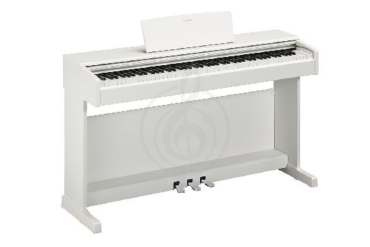 Изображение Цифровое пианино Yamaha YDP-144 WH