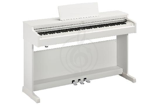 Изображение Цифровое пианино Yamaha YDP-164 WH