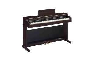 Изображение Цифровое пианино YAMAHA YDP-165R